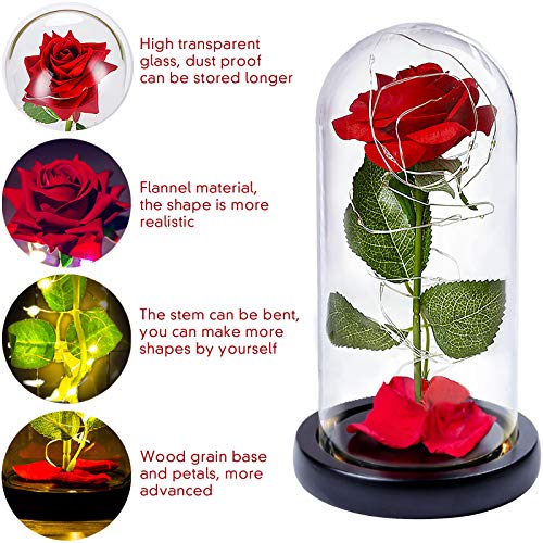 nuomaidi La Bella y La Bestia Rosa Encantada, Elegante Cúpula de Cristal con Base Pino Luces LED, Beauty and Beast Regalos Magicos Decoración para Día de San Valentín Aniversario Bodas
