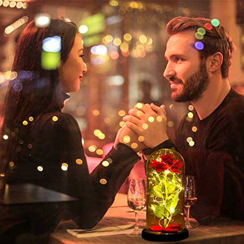 nuomaidi La Bella y La Bestia Rosa Encantada, Elegante Cúpula de Cristal con Base Pino Luces LED, Beauty and Beast Regalos Magicos Decoración para Día de San Valentín Aniversario Bodas