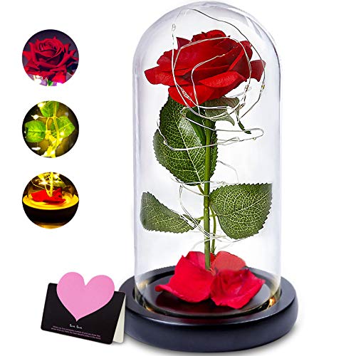 nuomaidi La Bella y La Bestia Rosa Encantada, Elegante Cúpula de Cristal con Base Pino Luces LED, Beauty and Beast Regalos Magicos Decoración para Día de San Valentín Aniversario Bodas