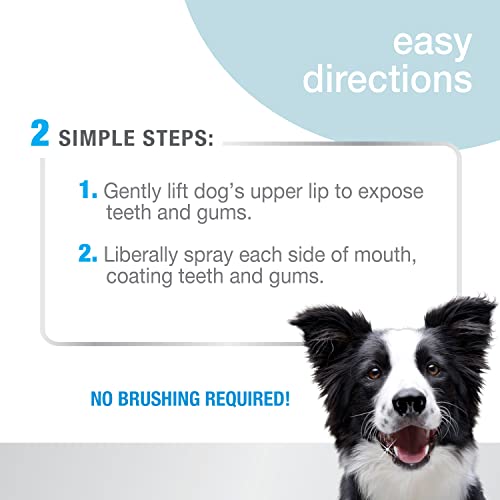 Nylabone Avanzado Cuidado Oral Dental Spray Aroma Respiración Fresca 4 Oz.