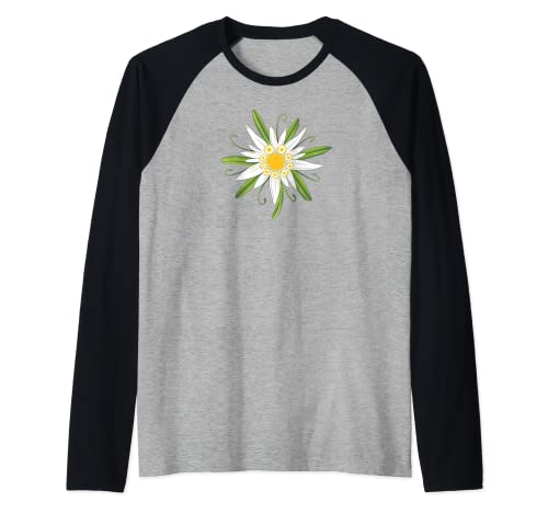 Oktoberfest Edelweiss - Flor tradicional con hojas Camiseta Manga Raglan