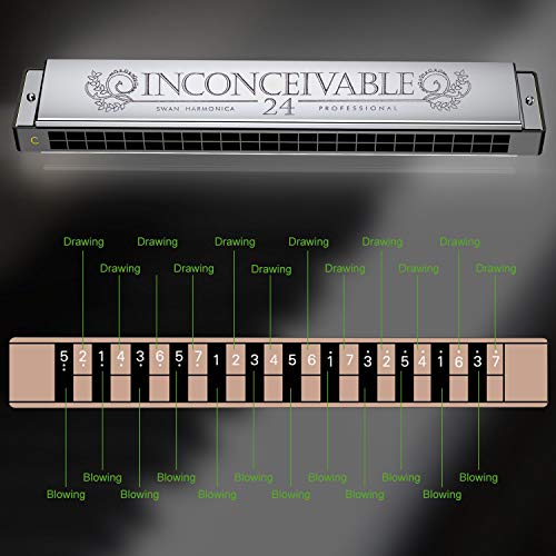 OTraki Harmonica C Key 24 Agujeros Armónica Trémolo con Estuche y paño de Limpieza Armonica para Principiantes Estudiantes, Regalo para Niños