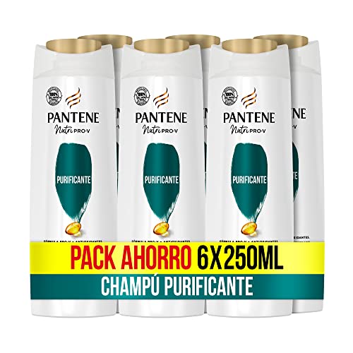 Pantene Champú Purificante Nutri Pro-V, fórmula Pro-V con antioxidantes, limpia y deja el cabello con un aspecto saludable, champu antigrasa, 6 x 250 ML