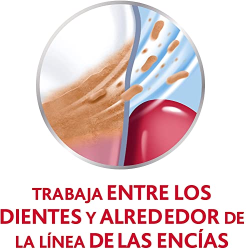 Parodontax, Enjuague Bucal para el Sangrado de Encías, Uso Diario, Favorece la Higiene Bucal, Encías Sanas y Aliento Fresco, sin Alcohol, 2x500 ml