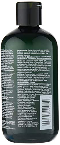 Paul Mitchell Champú Purificante – 300 ml