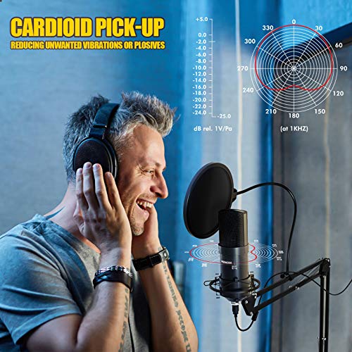 Peradix Microfono Streaming Condensador USB, Brazo Microfono 192KHz/24Bit, Micrófono Profesional, Grabar Música y Video Podcast Transmisión en Vivo Juegos Chat Soporte de Brazo
