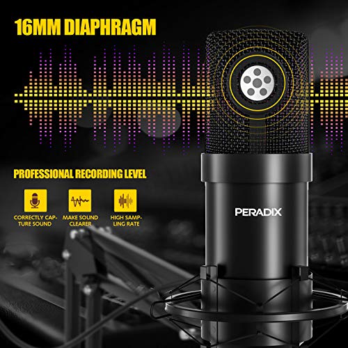Peradix Microfono Streaming Condensador USB, Brazo Microfono 192KHz/24Bit, Micrófono Profesional, Grabar Música y Video Podcast Transmisión en Vivo Juegos Chat Soporte de Brazo