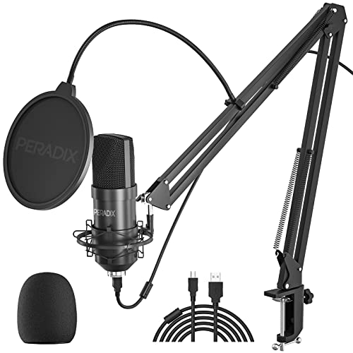 Peradix Microfono Streaming Condensador USB, Brazo Microfono 192KHz/24Bit, Micrófono Profesional, Grabar Música y Video Podcast Transmisión en Vivo Juegos Chat Soporte de Brazo