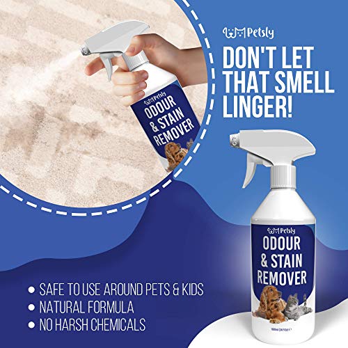 Petsly Spray Eliminador de Olores Mascotas - Limpiador Enzimatico Orina Perros y Gatos - Detergente Enzimatico Perros para Manchas Orina - Spray Quita Olores Perros, Neutralizador de Olores Gatos, 1L