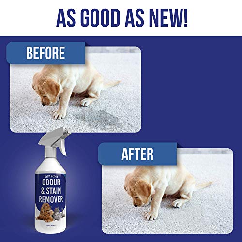 Petsly Spray Eliminador de Olores Mascotas - Limpiador Enzimatico Orina Perros y Gatos - Detergente Enzimatico Perros para Manchas Orina - Spray Quita Olores Perros, Neutralizador de Olores Gatos, 1L