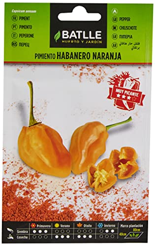 Pimiento Habanero Naranja