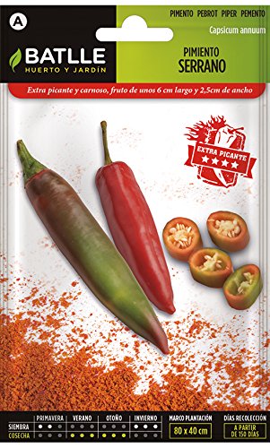 Pimiento SERRANO