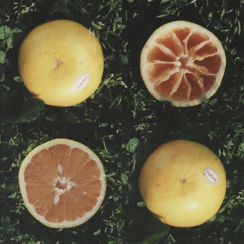 Pink Grapefruit