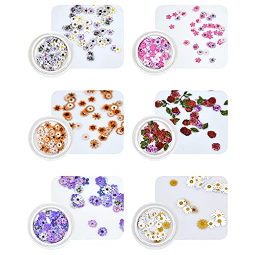 Pinsheng 6 Cajas de Calcomanías de Uñas de Flor 3D, Hojuelas Flores Pegatinas para Uñas, Diseño de Mixtos Flores Manicura Decoración, Etiqueta Engomada del Arte del Clavo para las mujeres niña