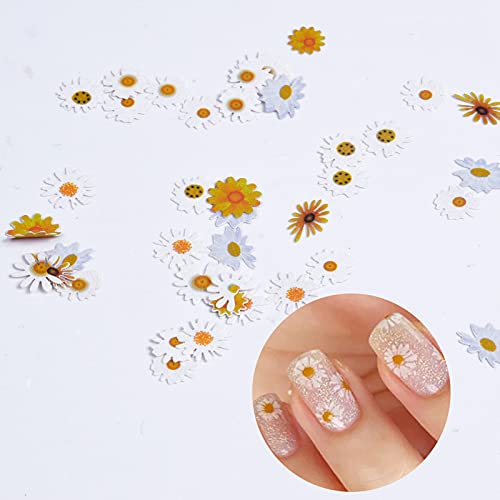 Pinsheng 6 Cajas de Calcomanías de Uñas de Flor 3D, Hojuelas Flores Pegatinas para Uñas, Diseño de Mixtos Flores Manicura Decoración, Etiqueta Engomada del Arte del Clavo para las mujeres niña