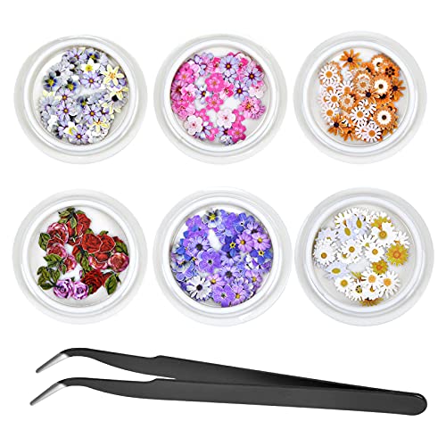 Pinsheng 6 Cajas de Calcomanías de Uñas de Flor 3D, Hojuelas Flores Pegatinas para Uñas, Diseño de Mixtos Flores Manicura Decoración, Etiqueta Engomada del Arte del Clavo para las mujeres niña