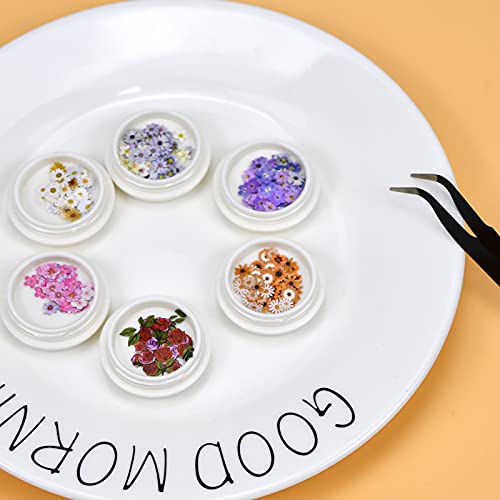 Pinsheng 6 Cajas de Calcomanías de Uñas de Flor 3D, Hojuelas Flores Pegatinas para Uñas, Diseño de Mixtos Flores Manicura Decoración, Etiqueta Engomada del Arte del Clavo para las mujeres niña