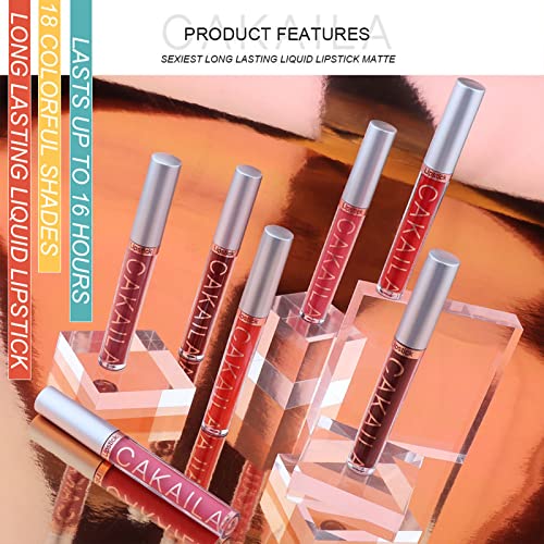 Pintalabios Mate de Larga Duración, Labial Líquido, 10 Piezas Líquido Pintalabios Traje, Pintalabios Mate Liquido Lápiz Labial Pintalabios Impermeable Kit, Labiales Mate Larga Duracion (02)