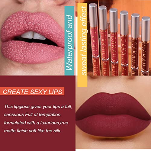 Pintalabios Mate de Larga Duración, Labial Líquido, 10 Piezas Líquido Pintalabios Traje, Pintalabios Mate Liquido Lápiz Labial Pintalabios Impermeable Kit, Labiales Mate Larga Duracion (02)