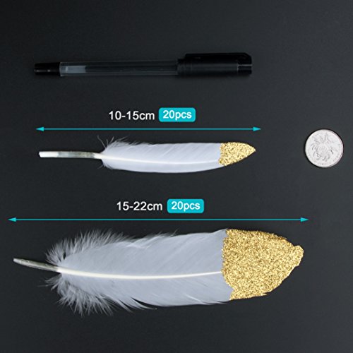 Plumas de Ganso, 40 pcs Oro Sumergido Blanco Natural Plumas de Gallo Manualidades Decoración para Disfraces Hats, Hogar Bricolaje, Ropa Casa Fiesta (accesorio de disfraz)(Oro)