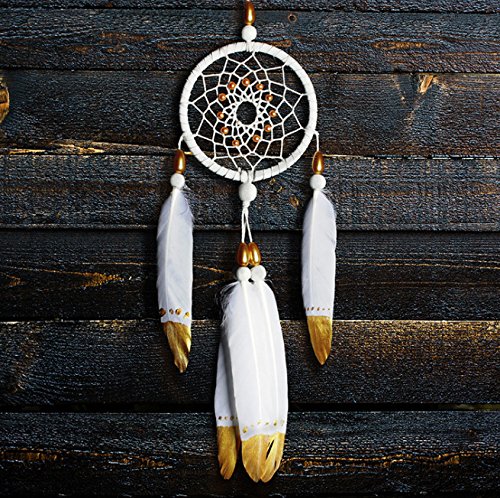 Plumas de Ganso, 40 pcs Oro Sumergido Blanco Natural Plumas de Gallo Manualidades Decoración para Disfraces Hats, Hogar Bricolaje, Ropa Casa Fiesta (accesorio de disfraz)(Oro)