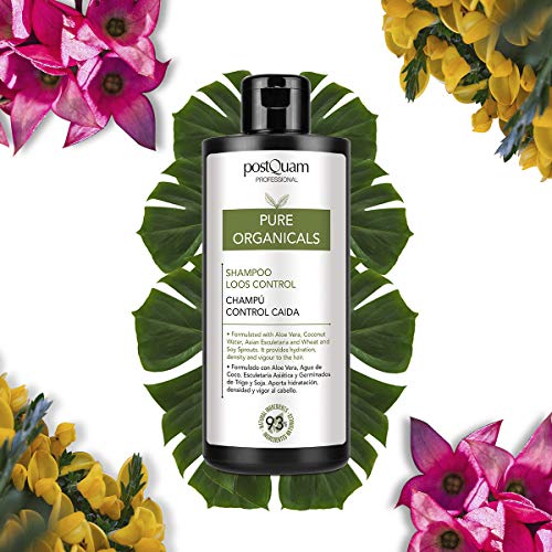 PostQuam Organicals - Champu Cuero Cabelludo Sensible | Champu Suave - Aloe Vera, Glicerina, Agua de Coco - 93% Ingredientes Naturales, 400 ml