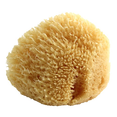 Poupy 246.6 - Esponja marina natural