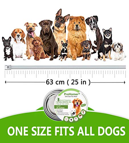 PROZADA [2PCS] Collares Antiparasitario para Perros Impermeable, 8 Meses de Protección de Efectividad Repelente de Plagas de Goma, Fórmula Natural, Ajustable (63cm) (1)