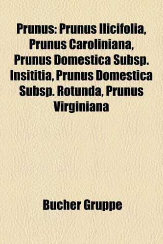 Prunus: Prunus ilicifolia, Prunus caroliniana, Prunus domestica subsp. insititia, Prunus domestica subsp. rotunda, Prunus virginiana: Prunus ... serotina, Prunus domestica subsp. domestica