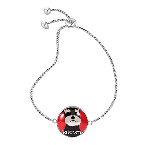 Pulsera de acero inoxidable, brazalete regalo de joyería caja de regalo de moda pulida, pulsera para hombre, pulsera para mujer Cotizar perro de bienvenida