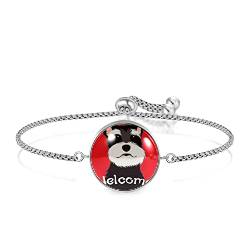 Pulsera de acero inoxidable, brazalete regalo de joyería caja de regalo de moda pulida, pulsera para hombre, pulsera para mujer Cotizar perro de bienvenida