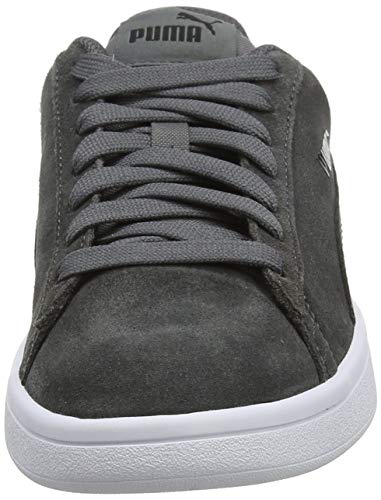 PUMA Smash v2, Zapatillas Unisex Adulto, Gris (Castlerock Black-White), 40 EU