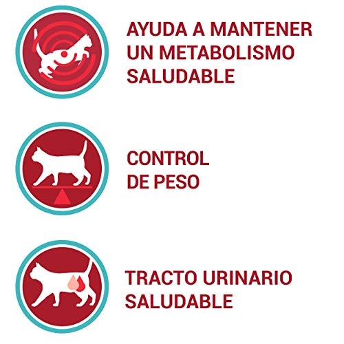 PURINA ONE - Bifensis esterilizados, con Pollo y Trigo 6 Kg