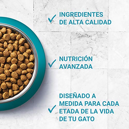 PURINA ONE - Bifensis esterilizados, con Pollo y Trigo 6 Kg