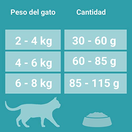 PURINA ONE - Bifensis esterilizados, con Pollo y Trigo 6 Kg
