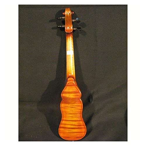 PWANG Violín Principiantes Violín Raro 3/4 Bolsillo Violín Agradable Sonido Cálido Gratis con Un Estuche Duro