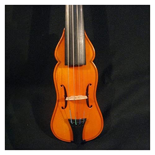 PWANG Violín Principiantes Violín Raro 3/4 Bolsillo Violín Agradable Sonido Cálido Gratis con Un Estuche Duro