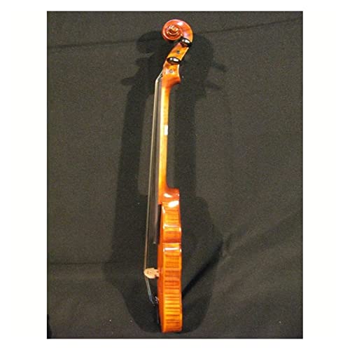 PWANG Violín Principiantes Violín Raro 3/4 Bolsillo Violín Agradable Sonido Cálido Gratis con Un Estuche Duro