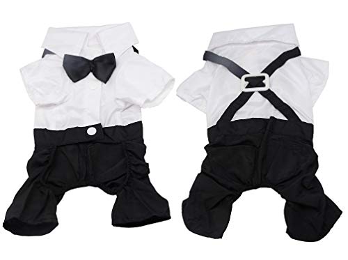 QiCheng & LYS Esmoquin Perro, Ropa de Chihuahua Verano Camisa de Esmoquin Formal con Traje de Corbata Negra (L)