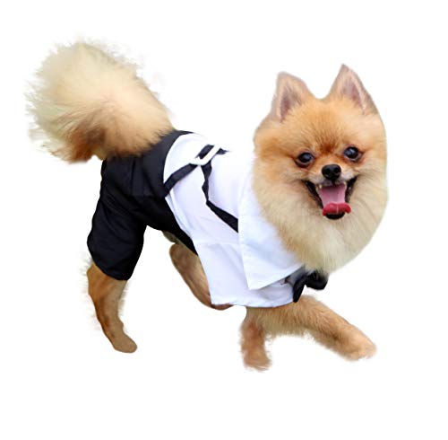QiCheng & LYS Esmoquin Perro, Ropa de Chihuahua Verano Camisa de Esmoquin Formal con Traje de Corbata Negra (L)