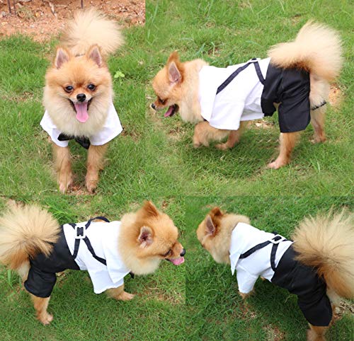 QiCheng & LYS Esmoquin Perro, Ropa de Chihuahua Verano Camisa de Esmoquin Formal con Traje de Corbata Negra (L)