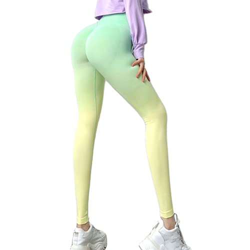 QTJY Pantalones de Yoga sin Costuras degradados, Mallas de Entrenamiento para Correr de Gimnasia para Damas, Pantalones de Entrenamiento elásticos y de Secado rápido BS