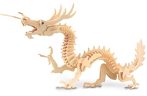 Quay Dragon - Kit de construcción de Sentido de la orientación