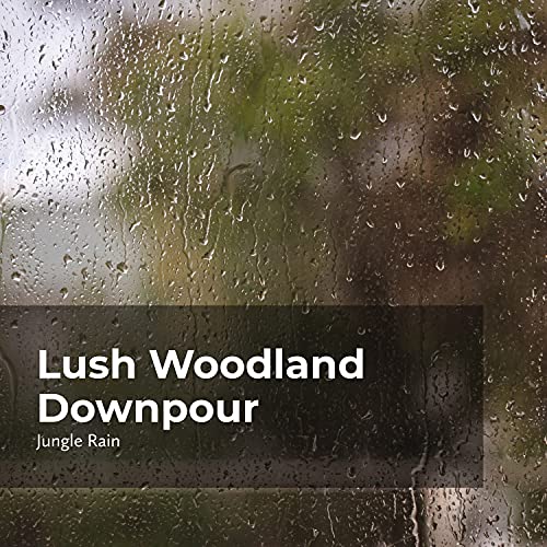 Rainfall in Lush Jungle