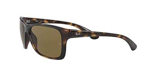 Ray-Ban 0rb4331 Lentes Oscuros, Havana/B-Classic Brown, 61/16/135 para Hombre