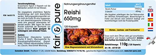 Reishi puro en Cápsulas - Hongo Reishi 650mg - Polvo encapsulado - Ganoderma lucidum vegano - Alta pureza - 120 Cápsulas
