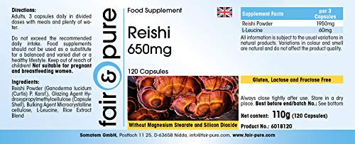 Reishi puro en Cápsulas - Hongo Reishi 650mg - Polvo encapsulado - Ganoderma lucidum vegano - Alta pureza - 120 Cápsulas