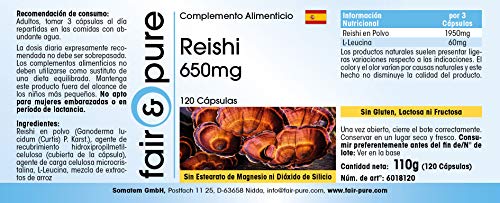 Reishi puro en Cápsulas - Hongo Reishi 650mg - Polvo encapsulado - Ganoderma lucidum vegano - Alta pureza - 120 Cápsulas