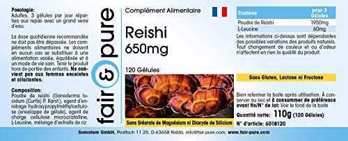 Reishi puro en Cápsulas - Hongo Reishi 650mg - Polvo encapsulado - Ganoderma lucidum vegano - Alta pureza - 120 Cápsulas