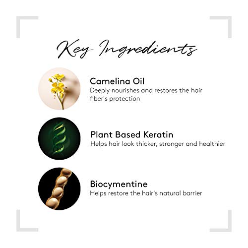 Rene Furterer ABSOLUE KERATINE Ultimate Máscara regeneradora para cabello dañado, sobreprocesado, cabello grueso, 1 fl. oz.